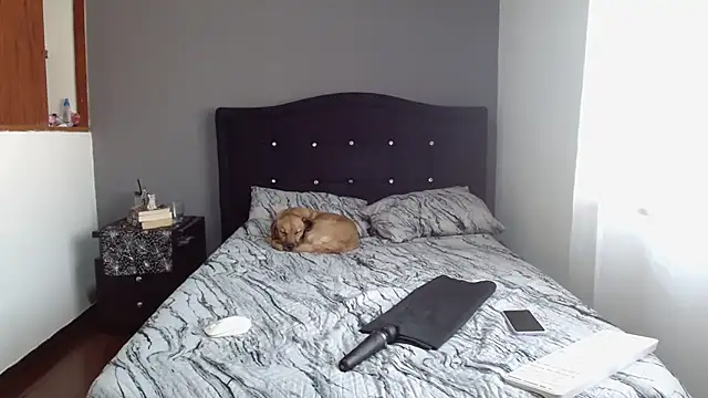 Emilia 1995 online show from 02/11/25, 12:48