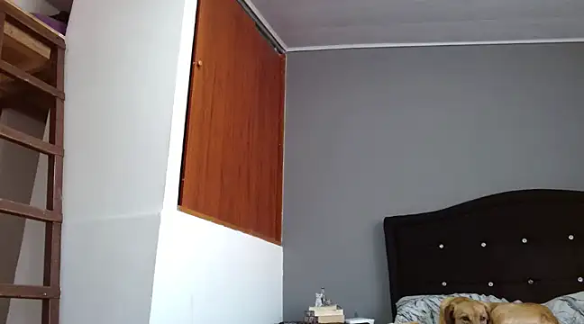 Emilia 1995 online show from 02/28/25, 12:42