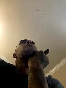 Snapshot of Houstonslong1 chatting on 09/17/25, 08:38 Houstonslong1 online show from 09/17/25, 08:38