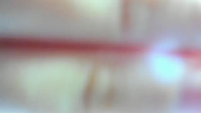 Snapshot of leila_bambi_ chatting on 02/17/26, 10:05 leila bambi online show from 02/17/26, 10:05