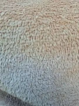 Priya Bong online show from 01/15/26, 04:06