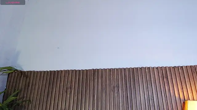 Snapshot of DilanJonnes_ chatting on 01/12/26, 11:43 DilanJonnes online show from 01/12/26, 11:43