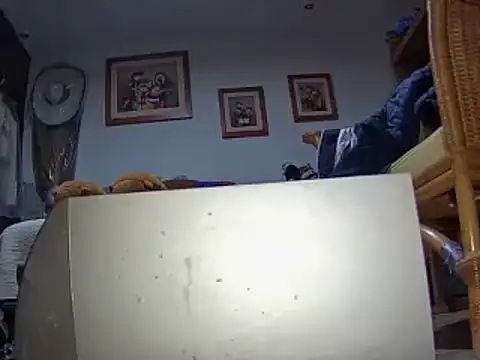 Snapshot of pajaroquemamaiz chatting on 02/01/26, 11:25 pajaroquemamaiz online show from 02/01/26, 11:25