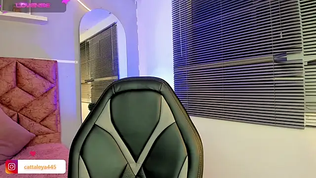 Snapshot of cattaleya___ chatting on 02/08/25, 06:22 cattaleya online show from 02/08/25, 06:22