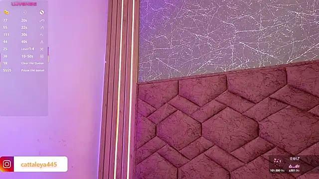 Snapshot of cattaleya___ chatting on 03/19/25, 09:17 cattaleya online show from 03/19/25, 09:17