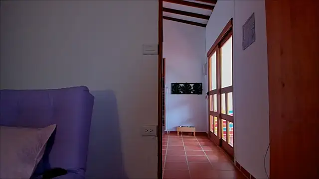 Lauren A online show from 01/17/25, 05:41