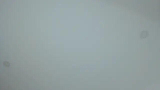 dollface17 online show from 01/30/25, 11:55