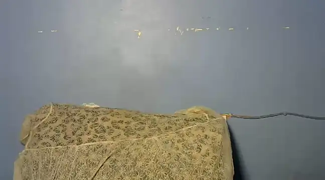 Snapshot of shishbabe chatting on 03/04/25, 04:49 shishbabe online show from 03/04/25, 04:49