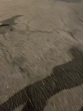 ToAnWTW online show from 02/24/26, 09:57