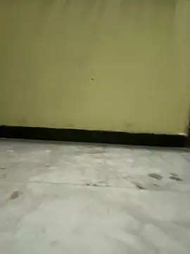 Snapshot of boypussyfist chatting on 02/15/25, 06:33 boypussyfist online show from 02/15/25, 06:33