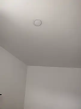 Dani javi online show from 06/26/26, 05:28