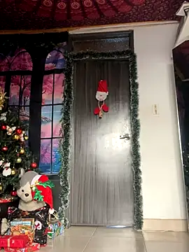  Artemisa X online show from 12/04/24, 09:02