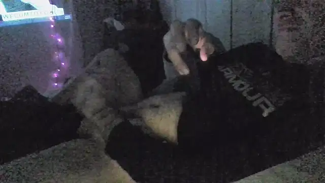 jaxx12369 online show from 12/05/25, 06:55