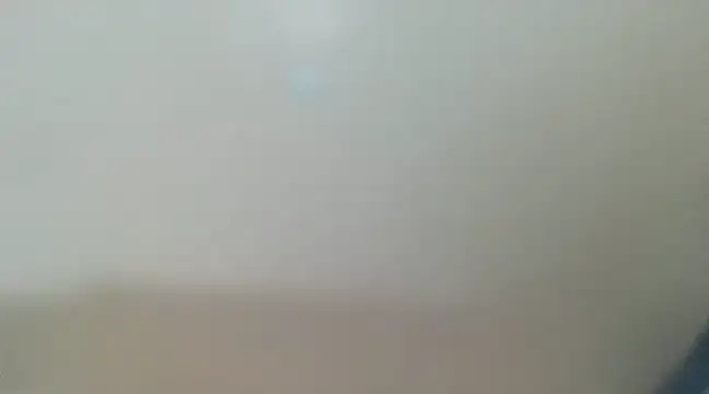 Snapshot of tropicalesen chatting on 03/08/25, 02:19 tropicalesen online show from 03/08/25, 02:19