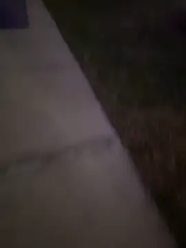 MynameisPaco online show from 12/20/25, 11:23