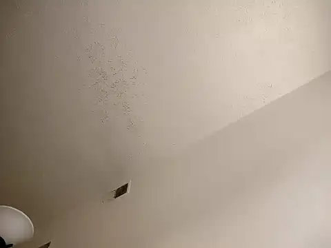 Snapshot of Barrentine88 chatting on 03/18/25, 10:37 Barrentine88 online show from 03/18/25, 10:37