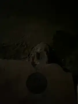 nowex18 online show from 03/14/25, 05:48