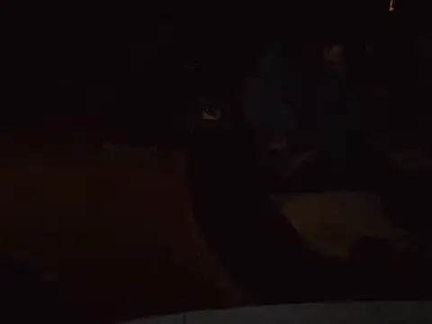 0815lukas2024 online show from 01/16/25, 06:59