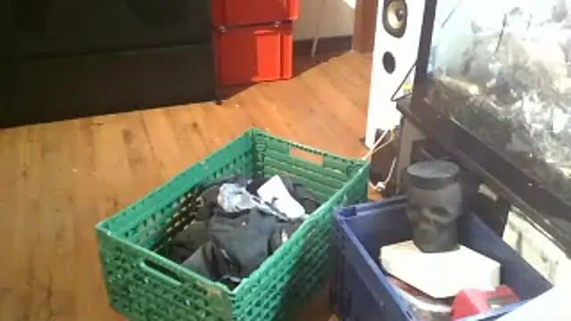 0815lukas2024 online show from 01/16/25, 11:59