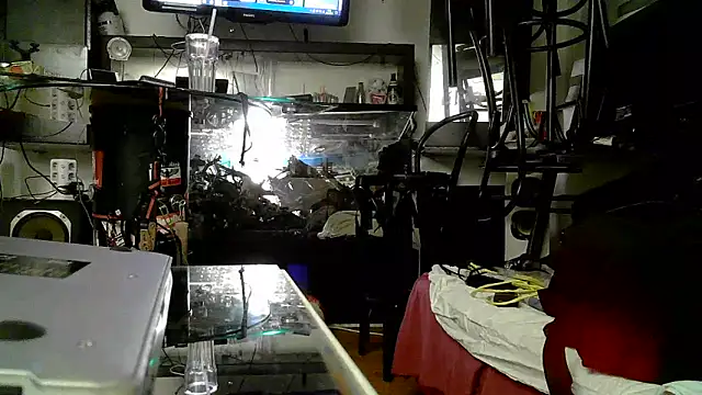 0815lukas2024 online show from 11/03/25, 05:03