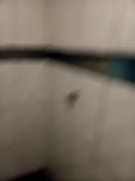 Snapshot of ladygmusic chatting on 02/06/26, 08:51 ladygmusic online show from 02/06/26, 08:51