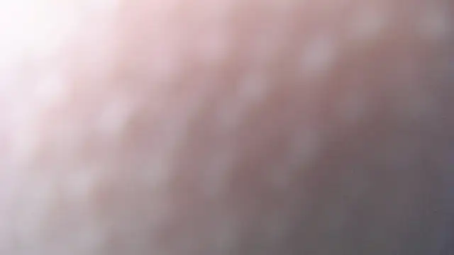 luly pink online show from 12/20/24, 07:22