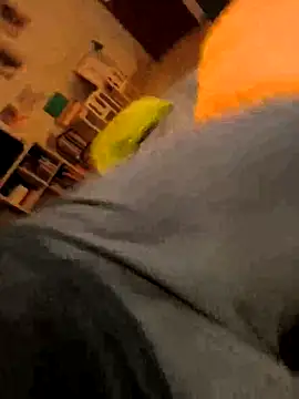 onbifeet online show from 10/09/25, 06:17