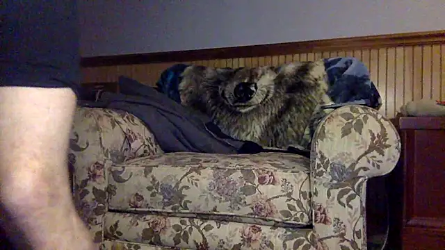 tongueispowerr6d9 online show from 03/03/26, 02:18