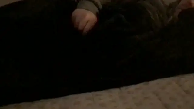 Snapshot of Rock_Pierce chatting on 02/28/26, 01:23 Rock Pierce online show from 02/28/26, 01:23