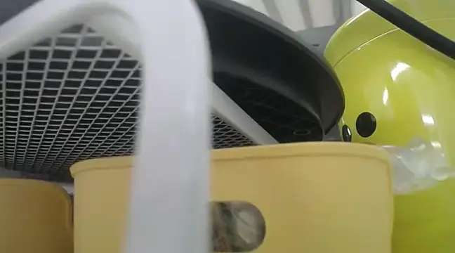 Snapshot of Lovensetest chatting on 12/19/24, 10:24 Lovensetest online show from 12/19/24, 10:24