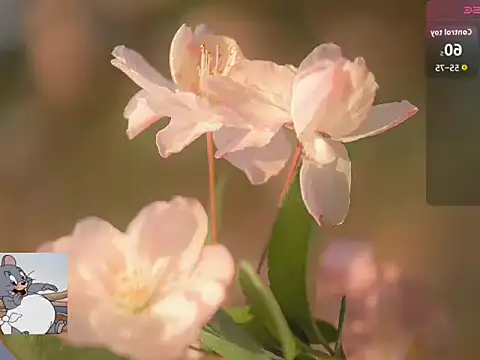 Snapshot of Lovensetest chatting on 10/22/25, 07:19 Lovensetest online show from 10/22/25, 07:19