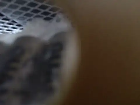 Snapshot of Lovensetest chatting on 10/31/25, 09:10 Lovensetest online show from 10/31/25, 09:10