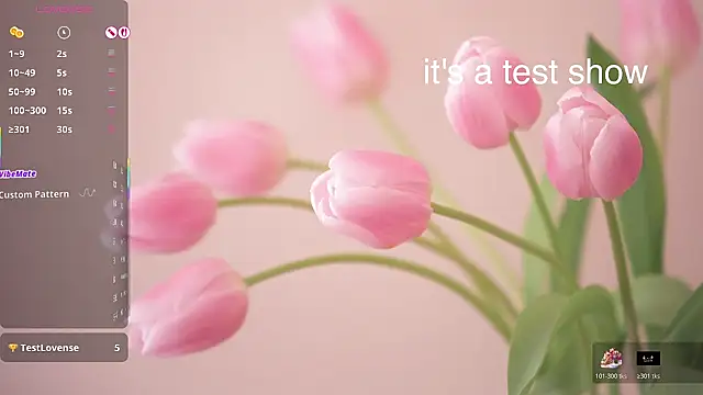 Snapshot of Lovensetest chatting on 03/16/26, 08:29 Lovensetest online show from 03/16/26, 08:29