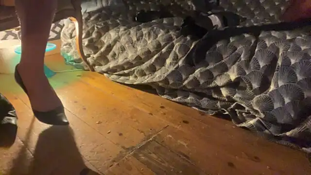 alexheels boots online show from 12/03/25, 02:41