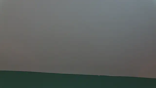 AlicePirs online show from 01/25/25, 05:40