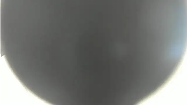 linasantoss online show from 01/26/25, 05:13