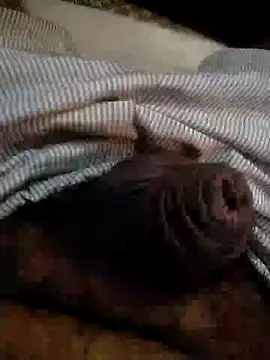 Snapshot of Kinkyluvi chatting on 01/06/25, 11:42 Kinkyluvi online show from 01/06/25, 11:42