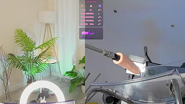 Sexydoll112 online show from 12/02/25, 11:56