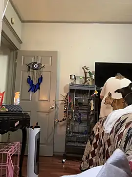 Snapshot of lezbean24 chatting on 03/11/26, 05:41 lezbean24 online show from 03/11/26, 05:41