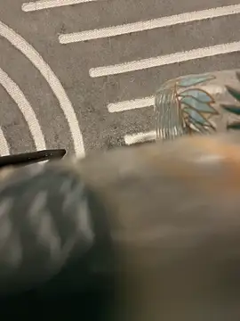 dimitriei online show from 11/15/25, 06:22