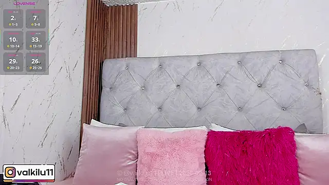 Snapshot of valkilu11 chatting on 02/13/26, 11:23 valkilu11 online show from 02/13/26, 11:23