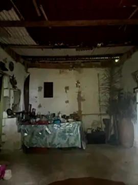 amy gata online show from 11/15/25, 10:12