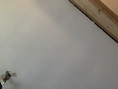 Snapshot of Brando2585 chatting on 03/07/26, 02:03 Brando2585 online show from 03/07/26, 02:03