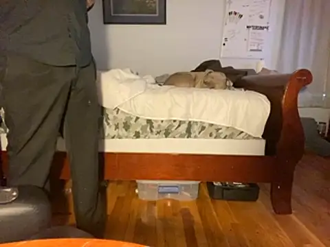 Snapshot of flexingplexico chatting on 01/14/26, 01:06 flexingplexico online show from 01/14/26, 01:06