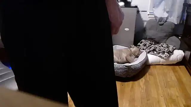 Snapshot of flexingplexico chatting on 02/16/26, 10:50 flexingplexico online show from 02/16/26, 10:50