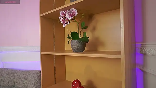 Anybuny online show from 11/07/25, 11:54