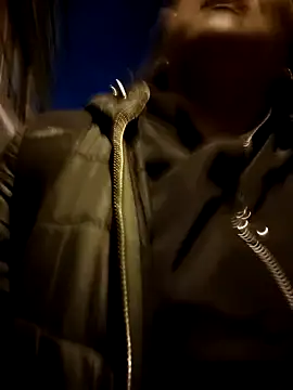 kitty 84 online show from 02/06/25, 11:48