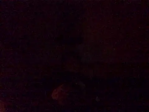 DragonPink online show from 12/24/24, 12:11