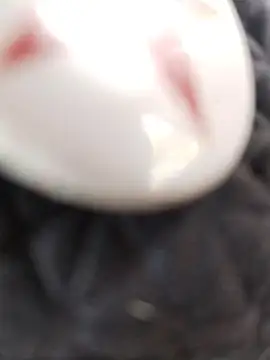 Snapshot of taaylor33 chatting on 02/27/26, 08:20 taaylor33 online show from 02/27/26, 08:20