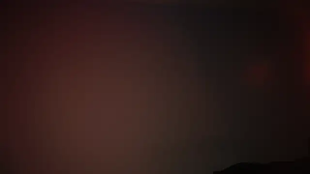 ginger hugs online show from 02/25/25, 04:24